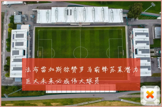 法布雷加斯称赞罗马前锋苏莱潜力巨大未来必成伟大球员